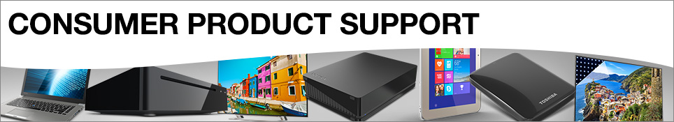 Consumer Products Support