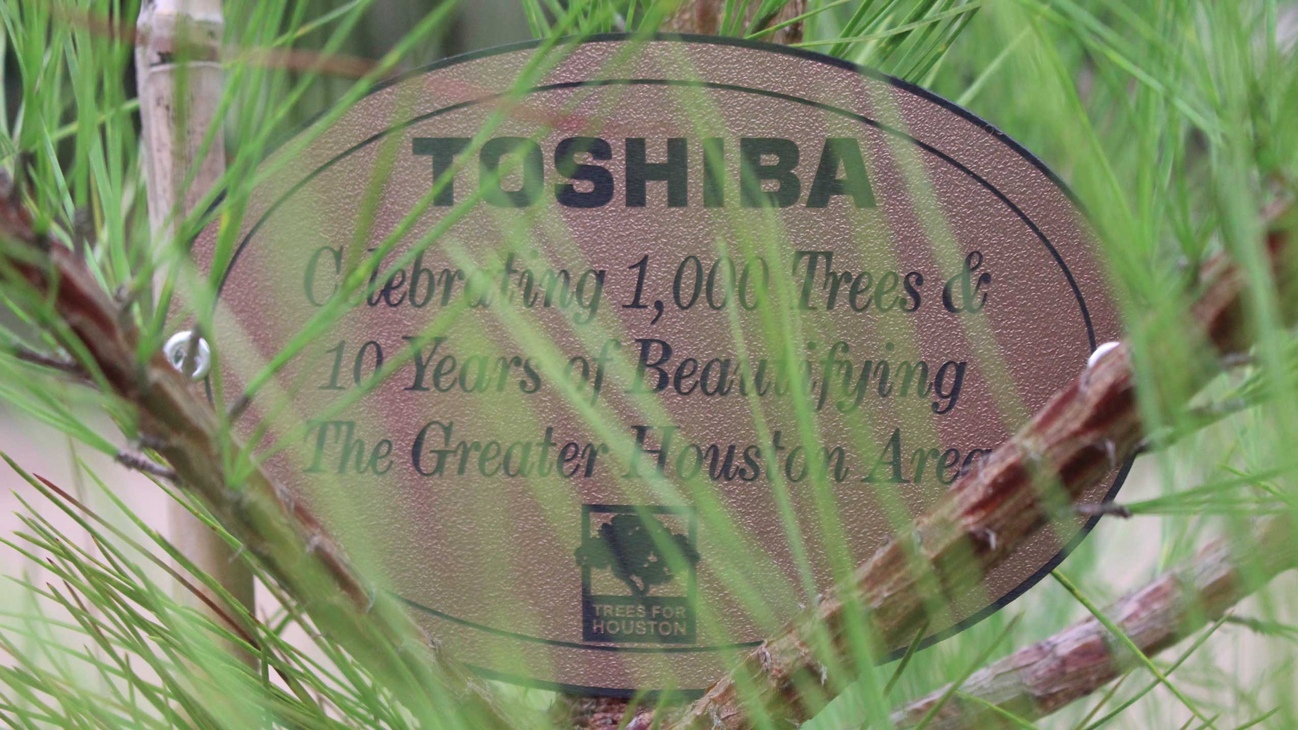 Toshiba Plants 1,000th Tree With Trees For Houston