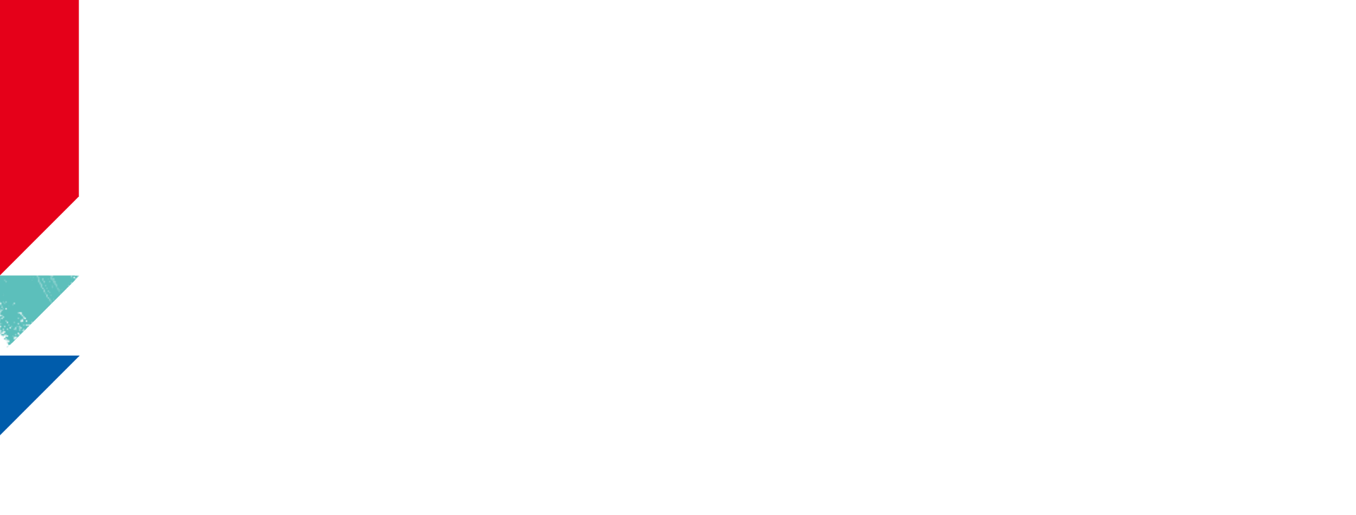 Toshiba motif