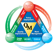 Quality, Environmental, Health and Safety Management System