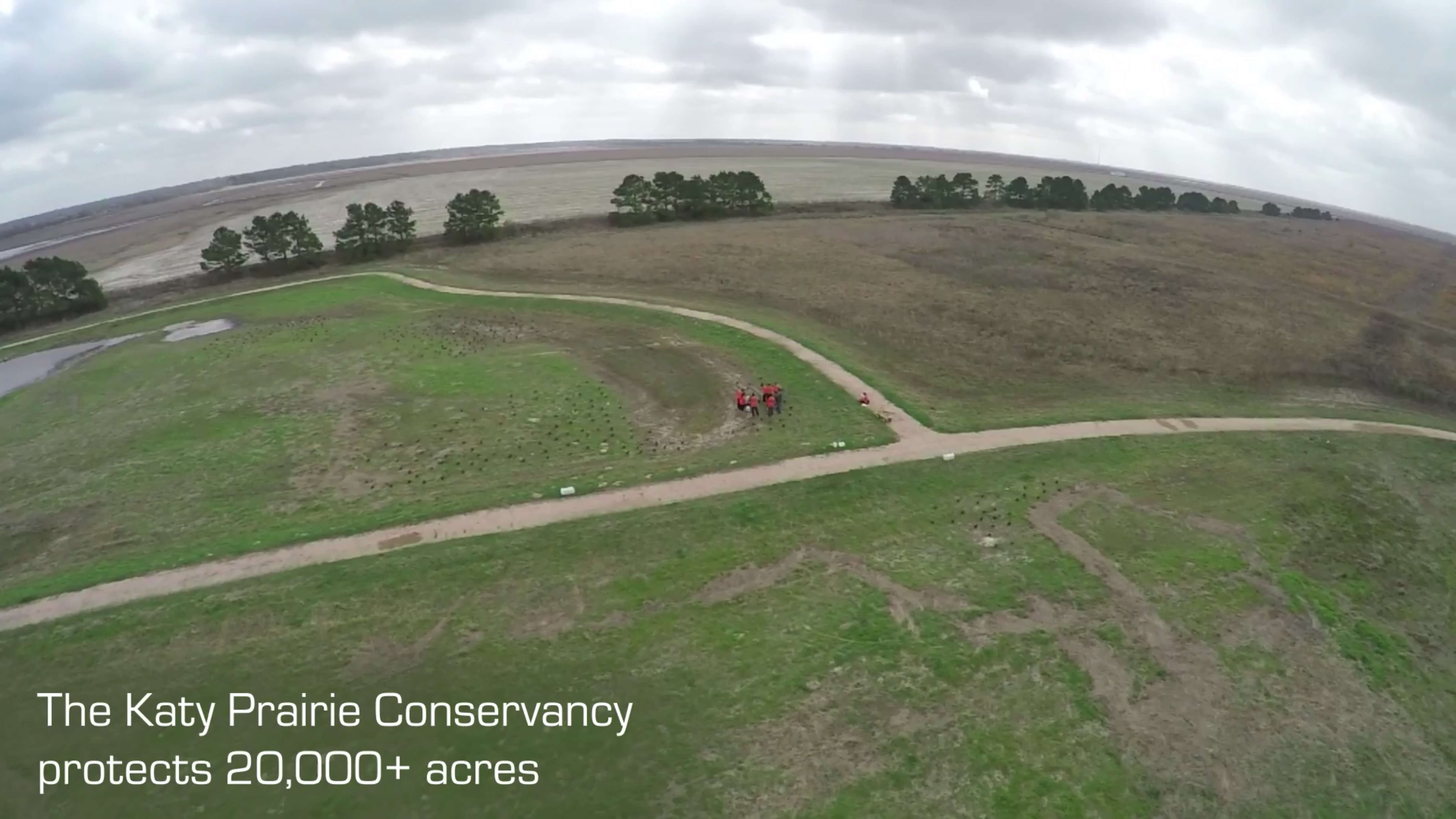 Our Katy Prairie